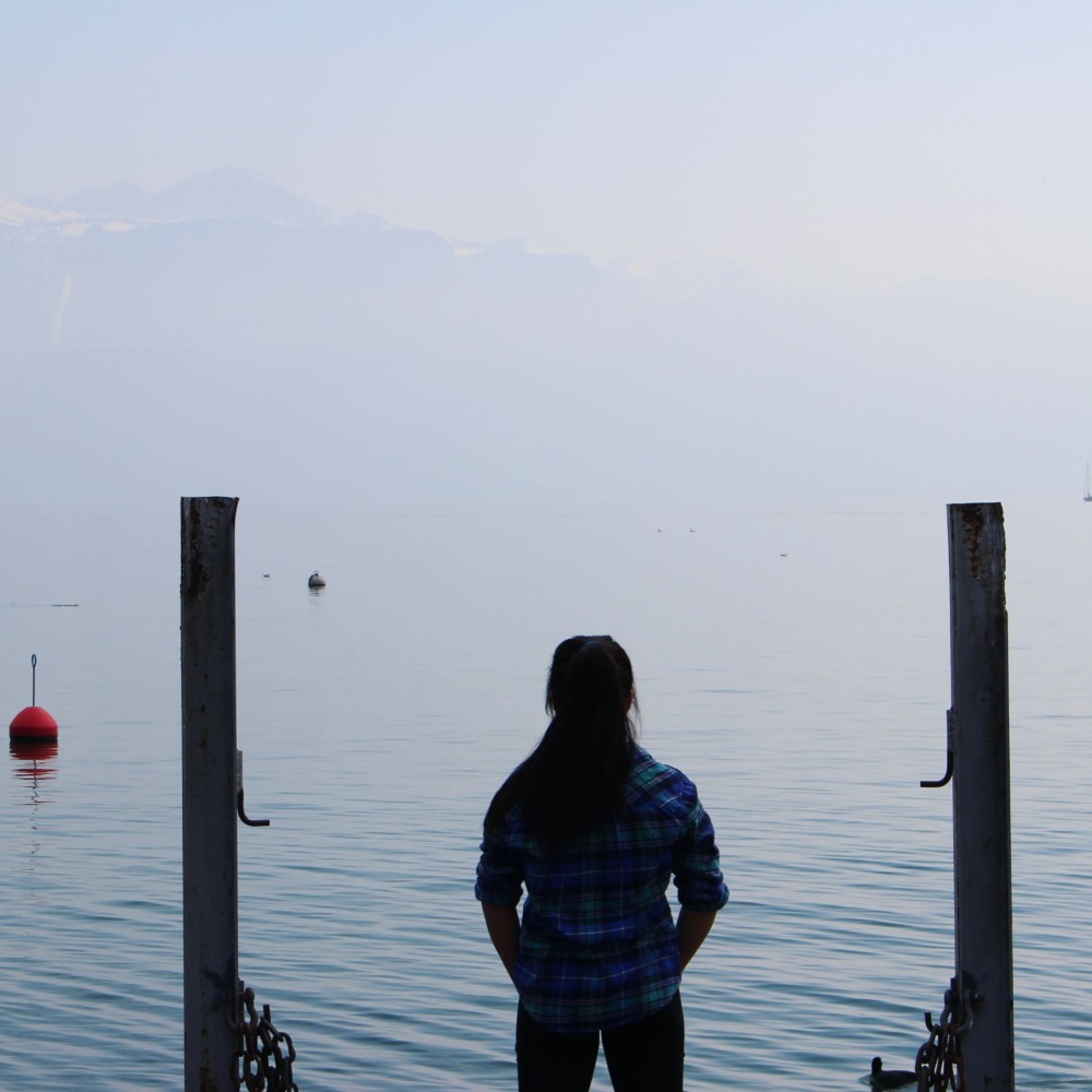 Meet your Posher, Rose